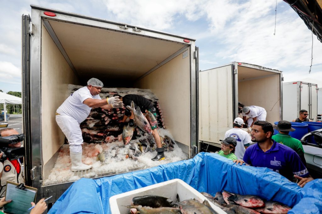 Peixe no Prato Solidário: Governador Wilson Lima entrega mais de 300 toneladas de pescado para instituições 3 WhatsApp Image 2025 04 14 at 133359 1024x682 1
