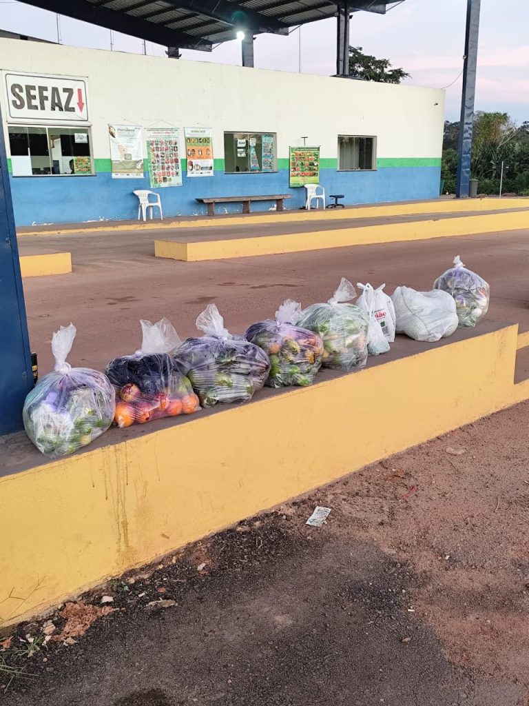 Adaf apreende mais de 200 quilos de frutos possíveis hospedeiros de pragas durante fiscalização no feriado 2 WhatsApp Image 2025 04 22 at 110835 768x1024 1