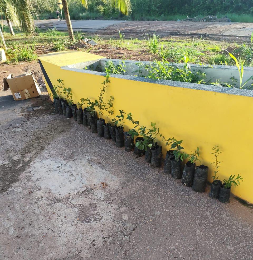 Adaf apreende mais de 200 quilos de frutos possíveis hospedeiros de pragas durante fiscalização no feriado 3 WhatsApp Image 2025 04 22 at 110837