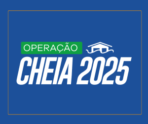 CAPA CHEIA 2025 GD 300x250 1 300x250 1