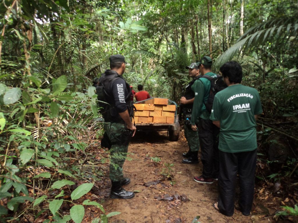 Relatório Anual de Desmatamento 2024 destaca efetividade das ações de fiscalização do Ipaam no Amazonas 5 Fiscalizacao do Ipaam Foto 1 15 05 2025 1024x768 1