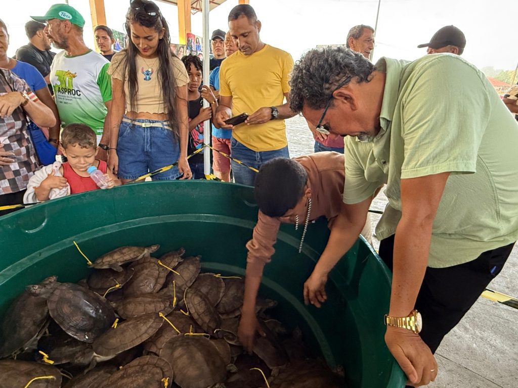 Avanço histórico: Amazonas promove pela primeira venda legal de quelônios manejados em Carauari 2 Foto 05 Primeira feira de quelonios de manejo comunitario ocorre em Carauari Foto Jamile Alves Sema Amazonas 1024x768 1