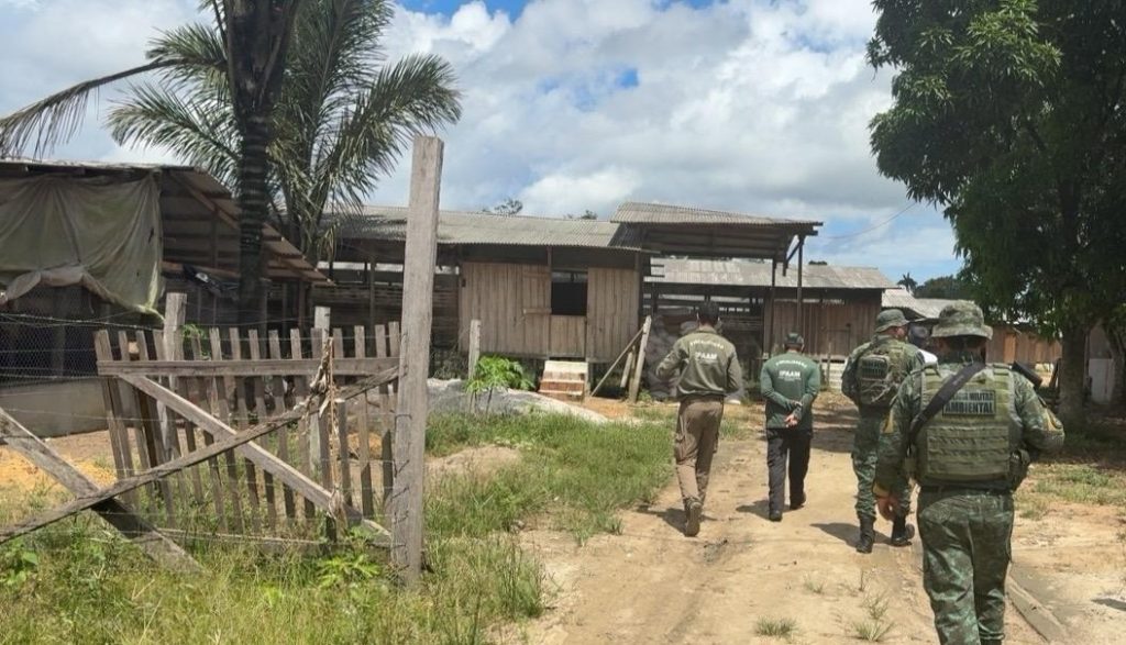 Ipaam notifica seis granjas no Amazonas e reforça necessidade de regularização ambiental 5 Ipaam Acao em granjas Foto 1 24 05 2025 1024x587 1