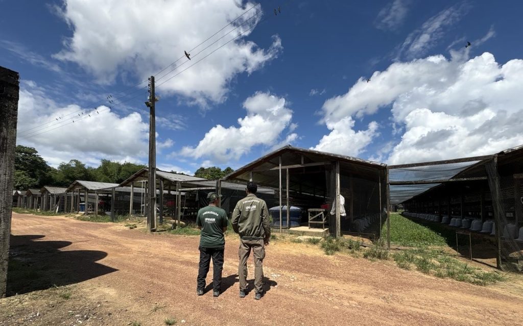 Ipaam notifica seis granjas no Amazonas e reforça necessidade de regularização ambiental 9 Ipaam Acao em granjas Foto 3 24 05 2025 1024x639 1