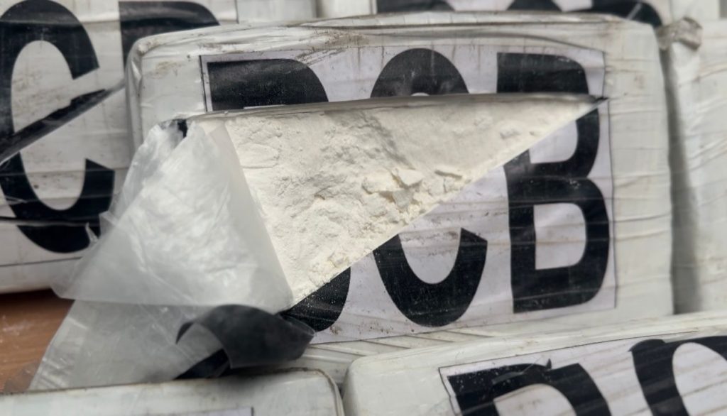 Polícia Civil apreende mais de 200 quilos de cocaína avaliados em R$ 6,3 milhões e prende dupla responsável pelo material 11 PC AM DROGAS APREENDIDAS FOTOS BEATRIZ SAMPAIO 3 1024x586 1