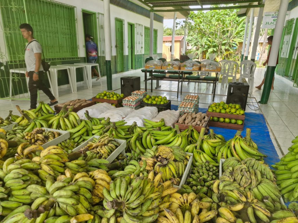 Governo do Amazonas adquire alimentos de agricultores familiares de Eirunepé 5 SEPROR GOVERNO ADQUIRE ALIMENTOS EM EIRUNEPE FOTO DIVULGACAO 2 1024x768 1