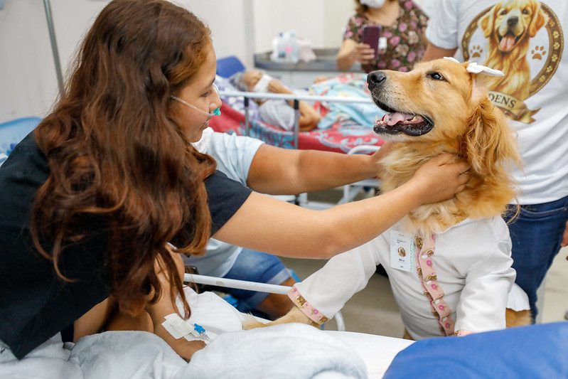 Cães terapeutas levam alegria e contribuem para a recuperação de pacientes no Complexo Hospitalar Sul 7 SES AM 2 Terapia Assistida Animais Foto Antonio Lima Secom