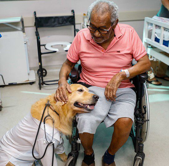 Cães terapeutas levam alegria e contribuem para a recuperação de pacientes no Complexo Hospitalar Sul 5 SES AM 3 Terapia Assistida Animais Foto Antonio Lima Secom