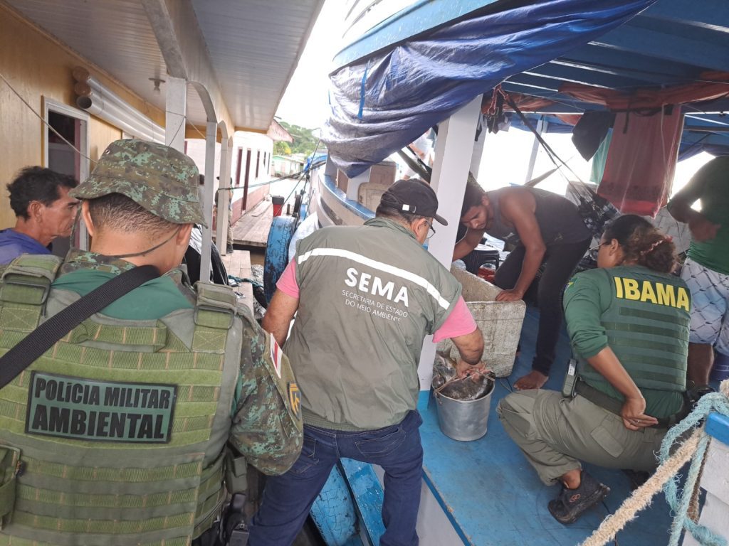 Sema apoia operação de apreensão de quatro toneladas de pescado ilegal na RDS Piagaçu-Purus 2 Sema apoia apreensao de quatro toneladas de pescado ilegal na RDS Piagacu Purus 4 1024x768 1