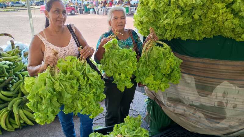 Governo do Amazonas entrega 13 toneladas de alimentos pelo PAA a entidades socioassistenciais de Manaus 5 Sepror PAA Manaus foto Jhota Mendonca5