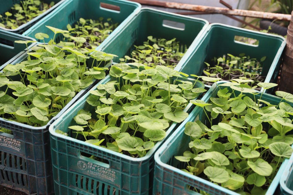 Sepror divulga Plano Estadual de Agroecologia e Produção Orgânica do Amazonas para consulta pública 2 Sepror Pleapo 25 28 foto Isaac Maia 1 1024x682 1