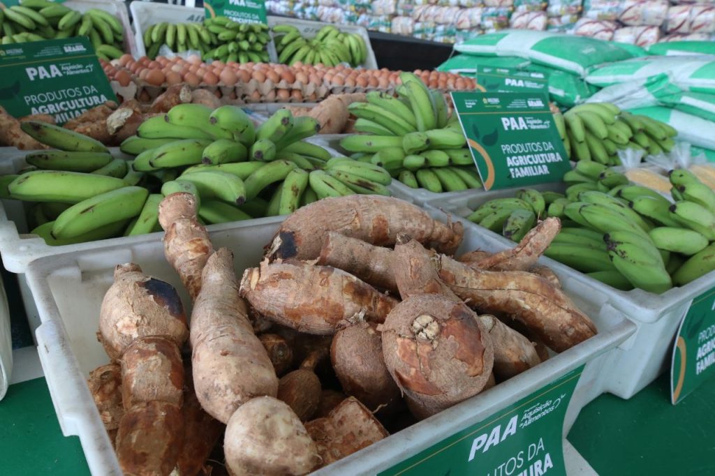 Em Tapauá, governador Wilson Lima fomenta setor primário com entregas de equipamentos e repasse de recursos em mais de R$ 2 milhões 11 WhatsApp Image 2025 05 22 at 105703 2 1024x682 1