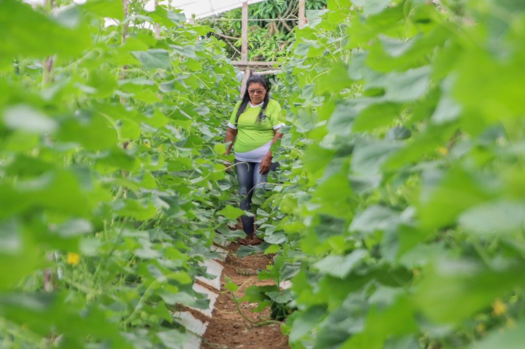 Dia do Trabalhador Rural: A luta e o orgulho de produzir no coração do Amazonas 2 WhatsApp Image 2025 05 24 at 182801 1024x682 1