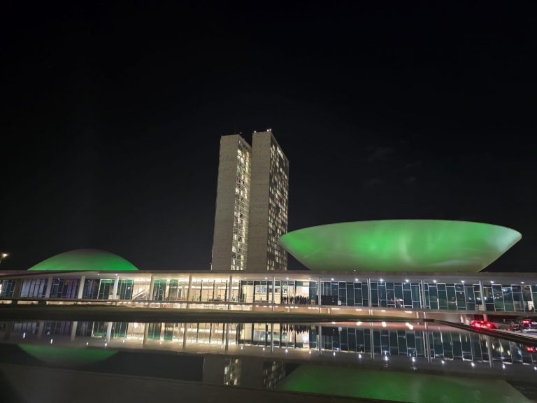 camara verde dia 20 768x576 1