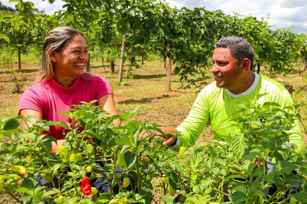 Dia do Trabalhador Rural: A luta e o orgulho de produzir no coração do Amazonas 3 flavia e aroldo 1024x682 1