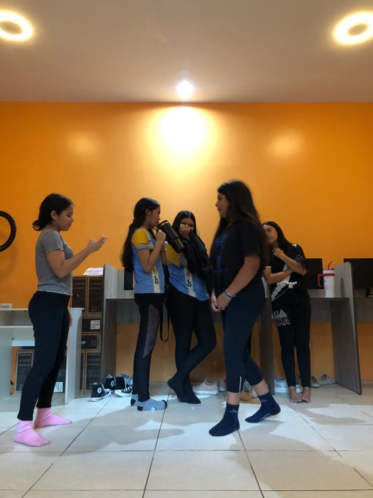 Projeto Acesso Livre: Teatro para Todos fará última apresentação no sábado na Escola Maria de Lourdes no Alvorada 3 Divulgacao2 768x1024 1