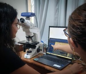 Fapeam Pesquisa identifica duzentas especies de microalgas em Parintins Foto arquivo da pesquisadora Angela Maria da Silva Lehmkuhl 1 300x259 1