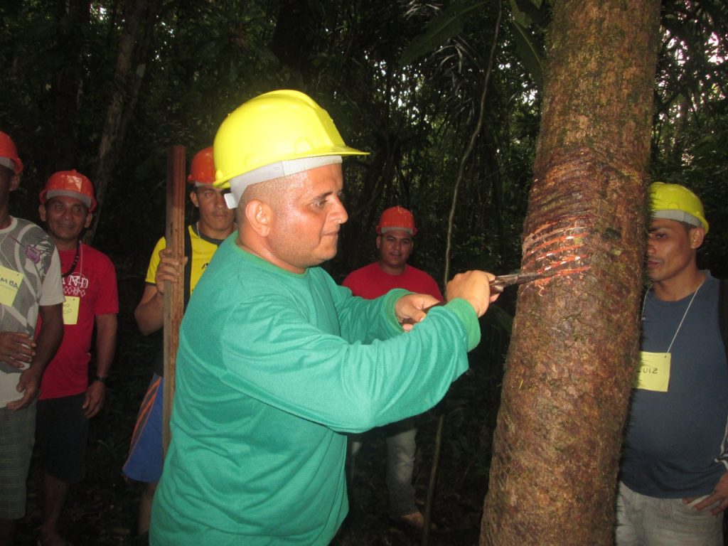 No interior, Idam recebe documentação para credenciamento da Subvenção Econômica da Borracha 7 Idam Cadeia da Borracha Foto Arquivo Idam 1024x768 1