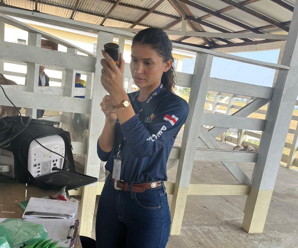Em Itapiranga, Idam abre inscrições para o curso ‘Boas Práticas no Manejo de Cria na Pecuária’ 5 Idam Curso Pecuaria Coordenadora Maria Oliveira Foto Divulgacao Idam