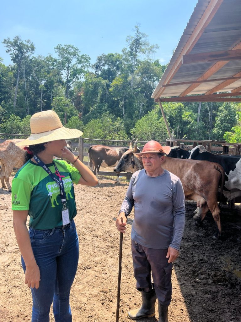 Em Itapiranga, Idam abre inscrições para o curso ‘Boas Práticas no Manejo de Cria na Pecuária’ 7 Idam Curso de Pecuaria Foto Divulgacao Idam 768x1024 1