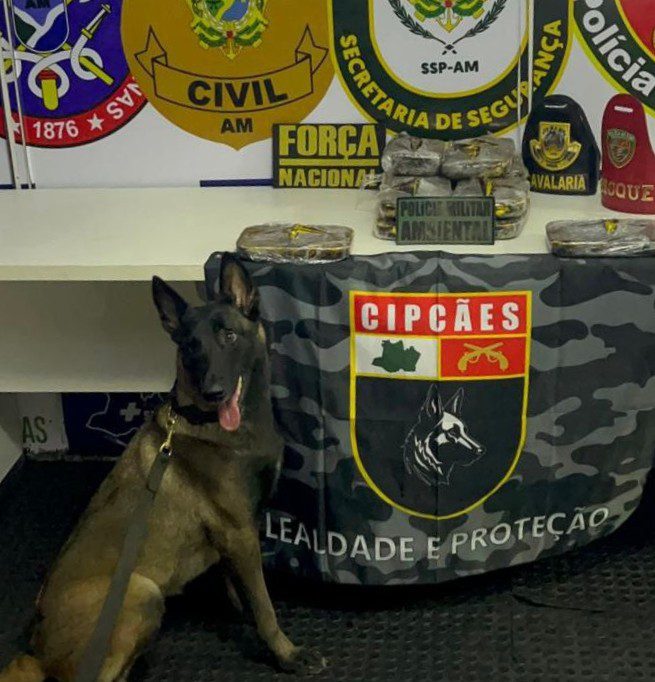 Base Arpão 3: Cadela policial encontra 13 quilos de cocaína escondido em armário de embarcação 2 PC AM APREENSAO BASE ARPAO FOTO DIVULGACAO SSP