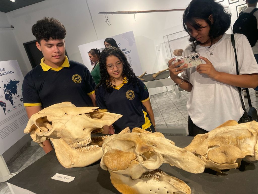 Prosamin+: UGPE promove visita de estudantes ao Bosque da Ciência no Dia Mundial do Meio Ambiente 3 UGPE VISITA ESTUDANTES BOSQUE DA CIENCIA 1 1024x768 1
