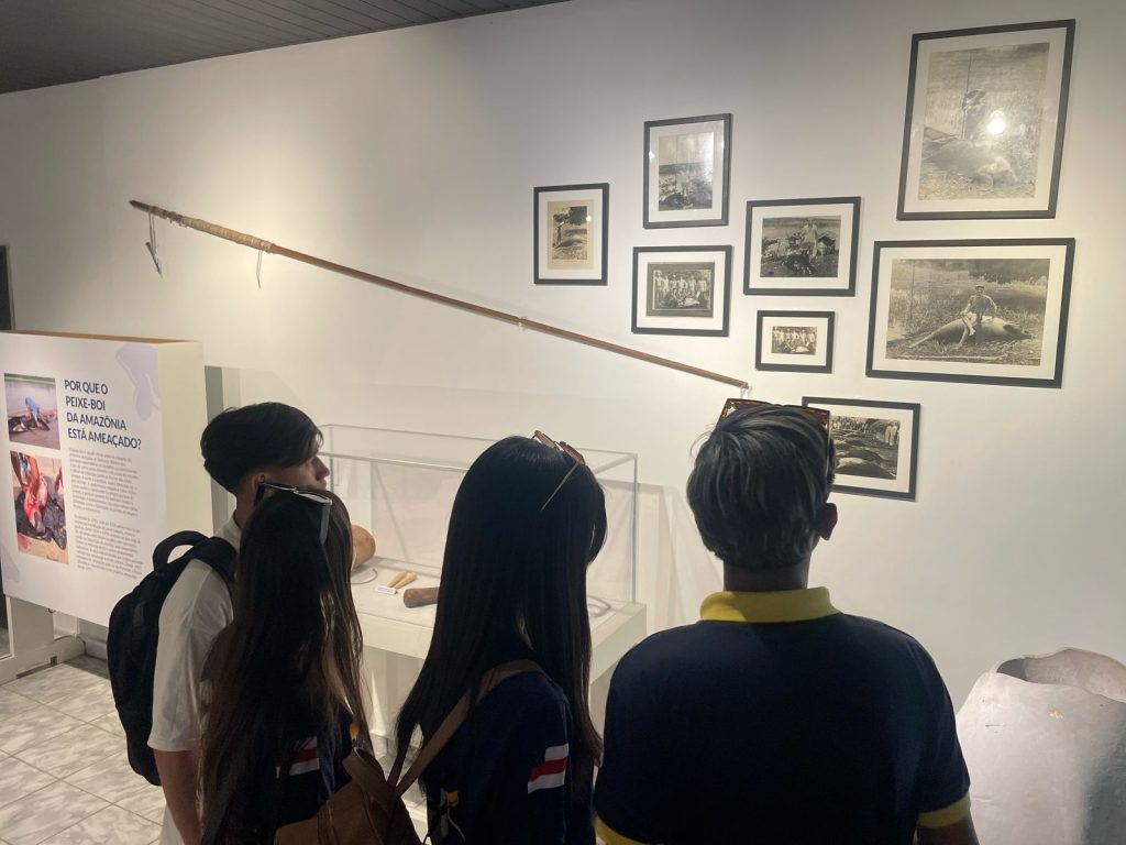 Prosamin+: UGPE promove visita de estudantes ao Bosque da Ciência no Dia Mundial do Meio Ambiente 9 UGPE VISITA ESTUDANTES BOSQUE DA CIENCIA 5 1024x768 1