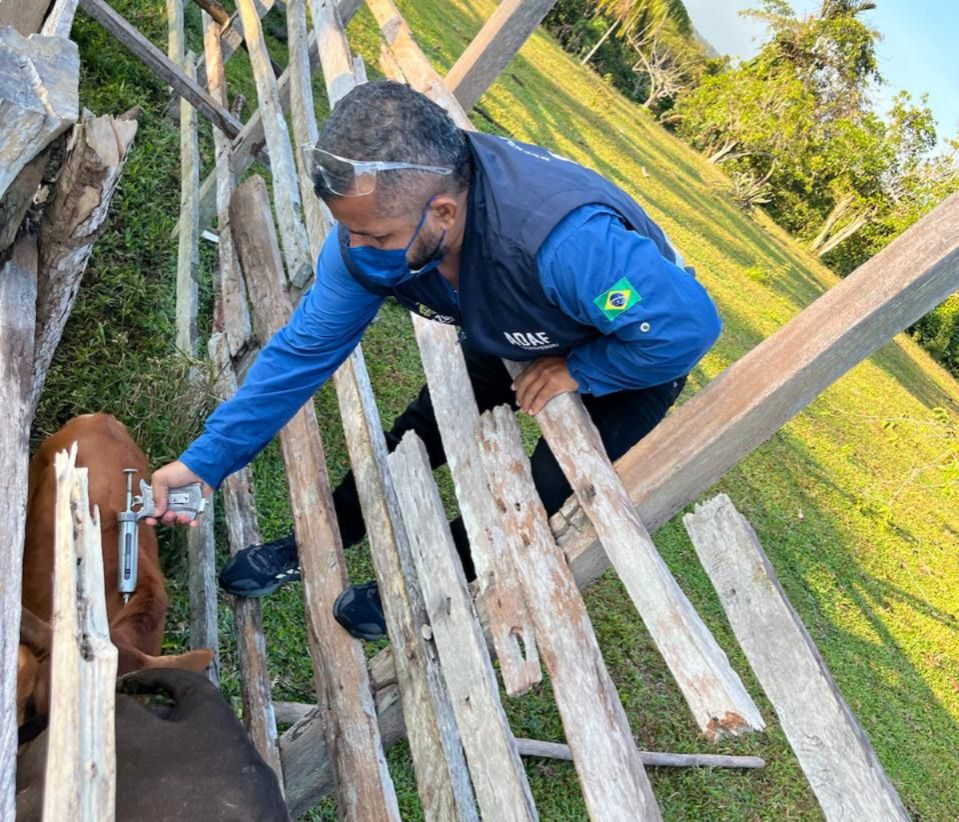 Adaf prorroga vacinação contra raiva dos herbívoros até 30 de setembro 2 WhatsApp Image 2025 06 05 at 140745 1