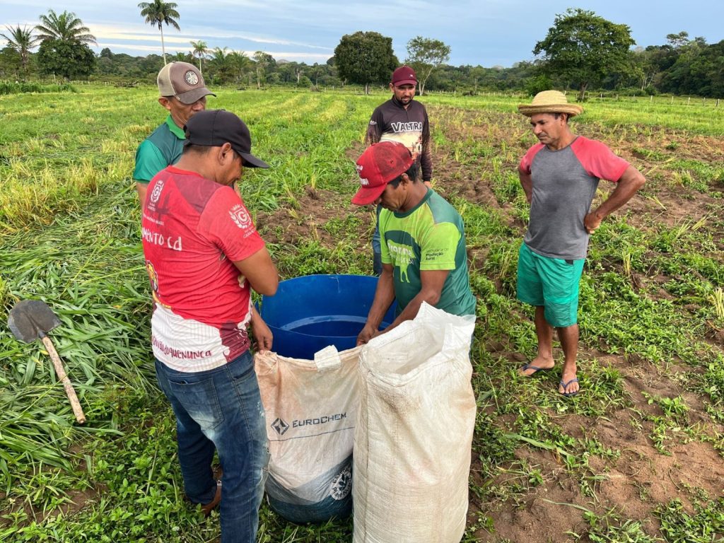 Em Barreirinha, Idam realiza Demonstração de Métodos sobre adubação de cobertura de pastagens 5 WhatsApp Image 2025 06 16 at 160037 1024x768 1