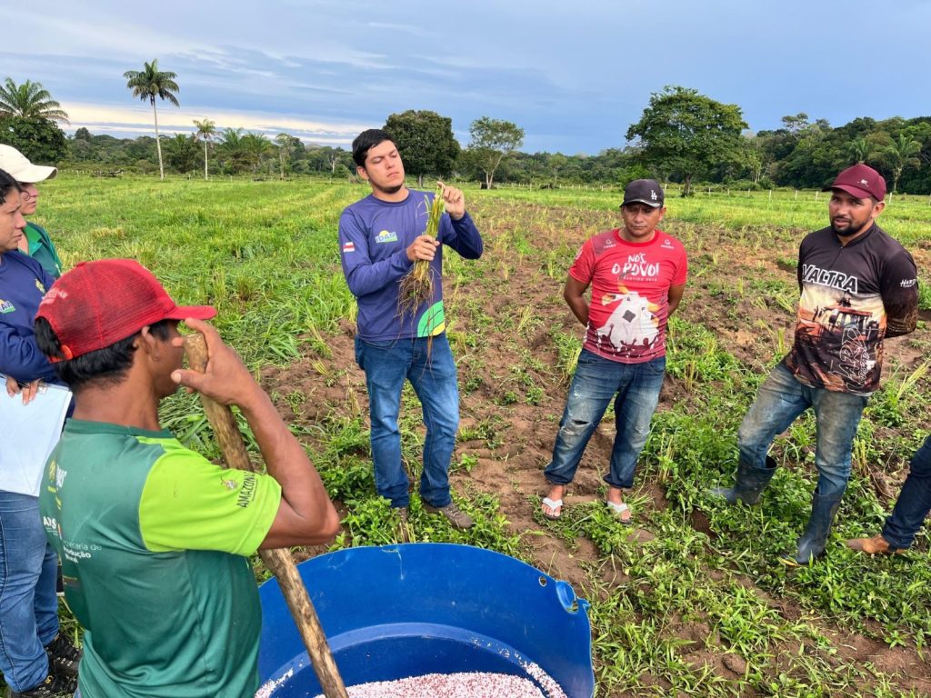 Em Barreirinha, Idam realiza Demonstração de Métodos sobre adubação de cobertura de pastagens 3 WhatsApp Image 2025 06 16 at 160038 1024x768 1