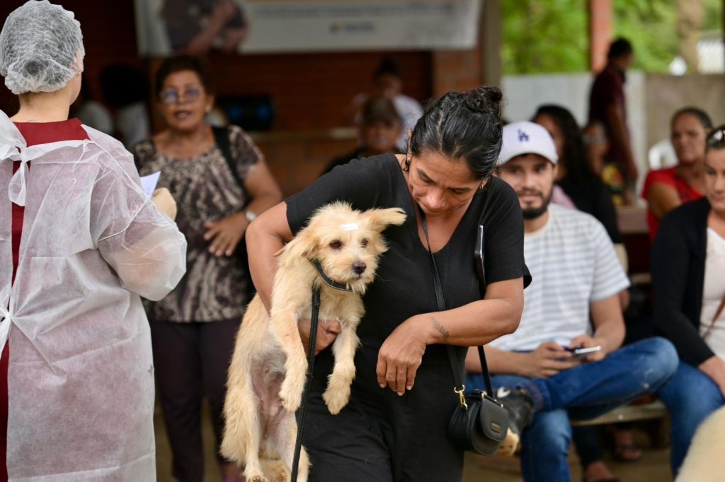 Sepet castra mais de 800 animais em ação de atendimento veterinário em Iranduba 2 Sepet castra mais de 800 animais em ação de atendimento veterinário em Iranduba