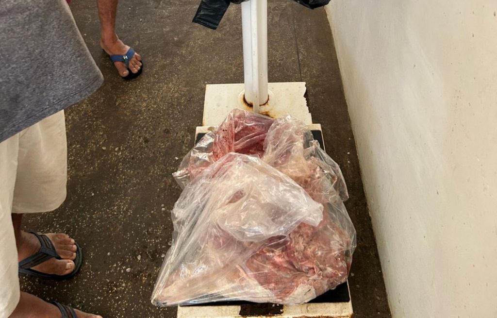 Ipaam apreende carne de capivara comercializada ilegalmente em feira de Itacoatiara 2 Ipaam apreende carne de capivara comercializada ilegalmente em feira de Itacoatiara