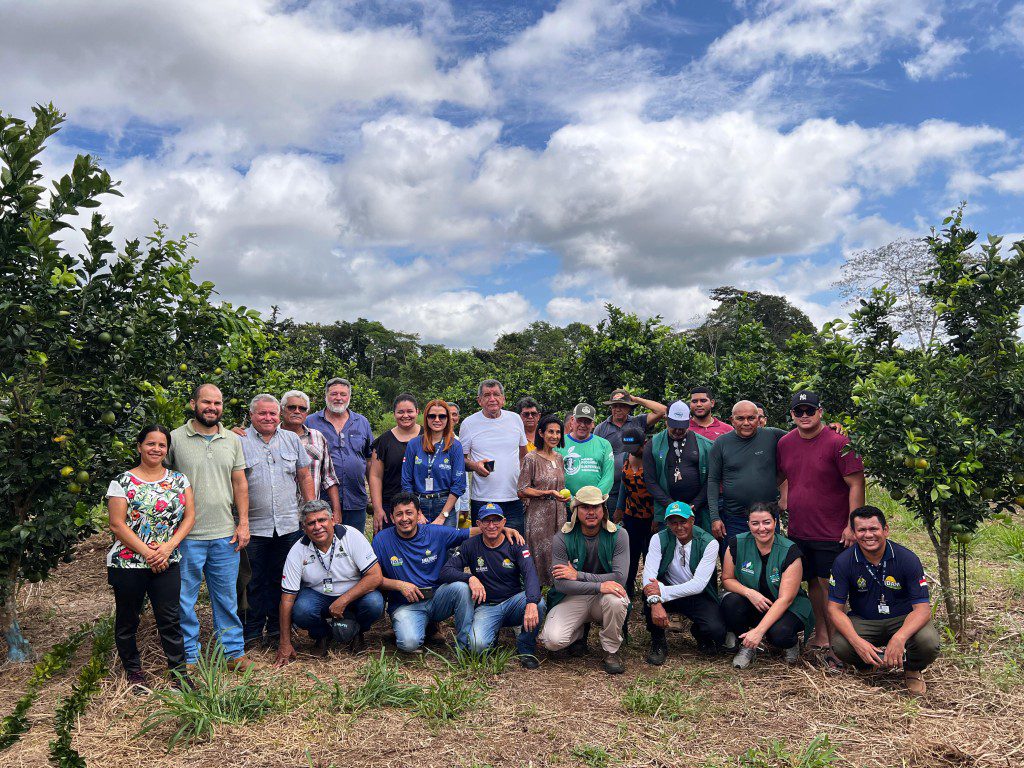 Em Iranduba, Idam divulga boas práticas sobre a citricultura para agricultores familiares 2 Em Iranduba, Idam divulga boas práticas sobre a citricultura para agricultores familiares