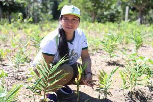 Governo do Amazonas e Sebrae realizam Dia de Campo com foco na regularização fundiária rural em Rio Preto da Eva