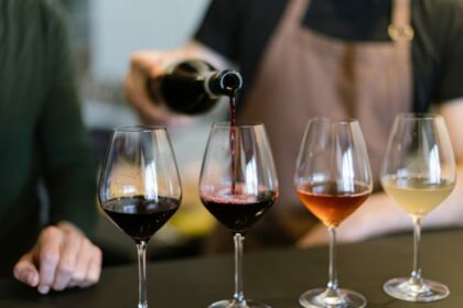 Audiência na Câmara discute os benefícios do vinho para a saúde