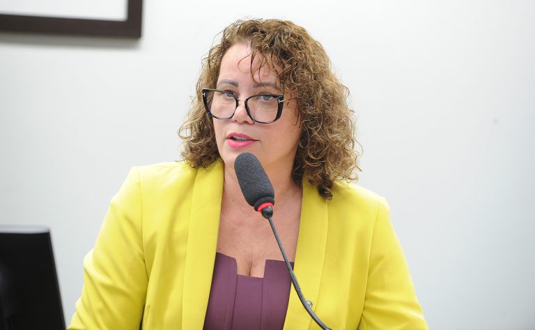 Comissão aprova instalação obrigatória de brinquedotecas nas delegacias da mulher